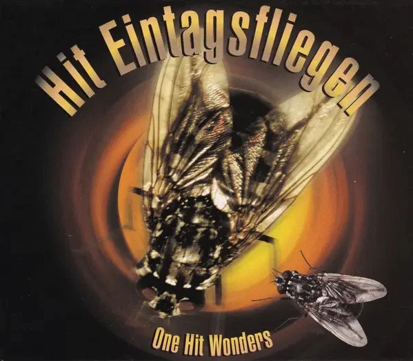 CD-BOX Bobby McFerrin / Norman Greenbaum a.o. Hit Eintagsfliegen (One Hit Wonde - Bild 1 von 1