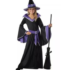 California Costumes  Incantasia The Glamour Witch Child Girls Sz. Small (6-8)