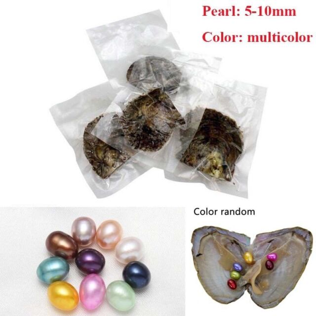 Vacuum-pack Oyster Pearls Mussel Shell with 6x Pearls Inside Freshwater Pearl Vacuum-pack Oyster Pearls Mussel Shell with 6x Pearls Inside Freshwater Pearl