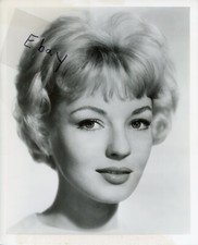 Sexy British Actress Venetia Stevenson 8x10 Photo Russ Tamblyn Alfred Hitchcock