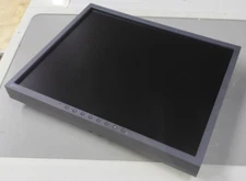 Eizo RadiForce MX191 LCD Monitor - 0FTD2177