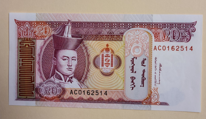Mongolia 20 Tugrik Note - Possibly Uncircuiated - Free Shipping