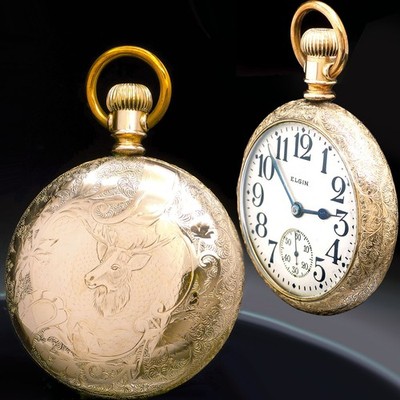 Stag Case 23 Jewel Elgin Veritas Railroad Pocket Watch
