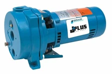 Goulds J10 1 HP Convertible Water Well Jet Pump 115/230V