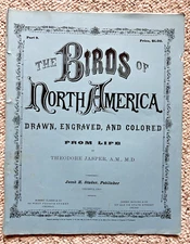 1873 Jacob Studer Birds of North America Portfolio 1st Edition 3 Colored Plates