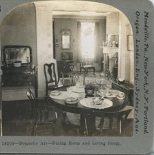 DOMESTIC ART, Dining Room & Living Room--Keystone Ed. Set #33
