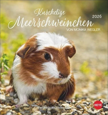 HEYE Kuschelige Meerschweinchen Postkartenkalender 2026 | Monika Wegler | Deutsch