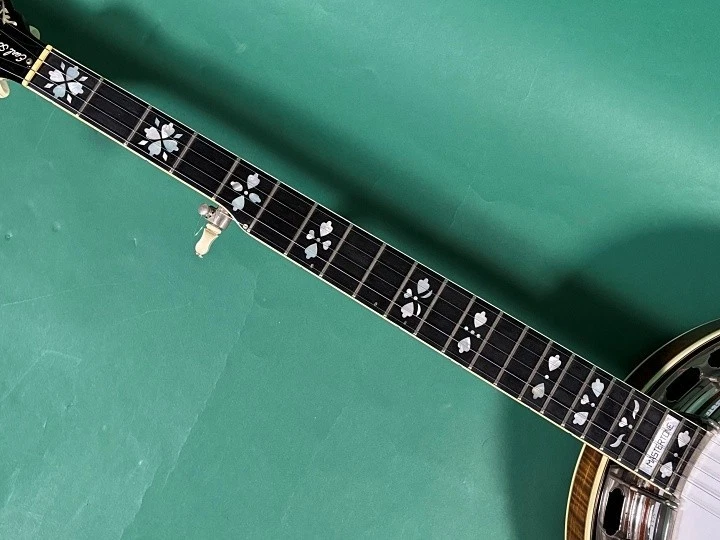 Gibson Earl SCRUGGS STD GREG RICH 1992 班卓琴 — 第 4/4 张图片