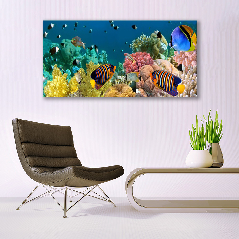 Impression sur verre récif de corail tableau nature 140x70 grand format