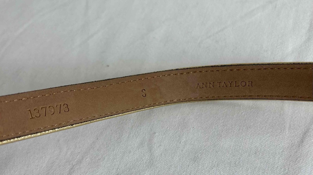 Ann Taylor Light Tan Leather Belt Suede Studded Belt main image 2