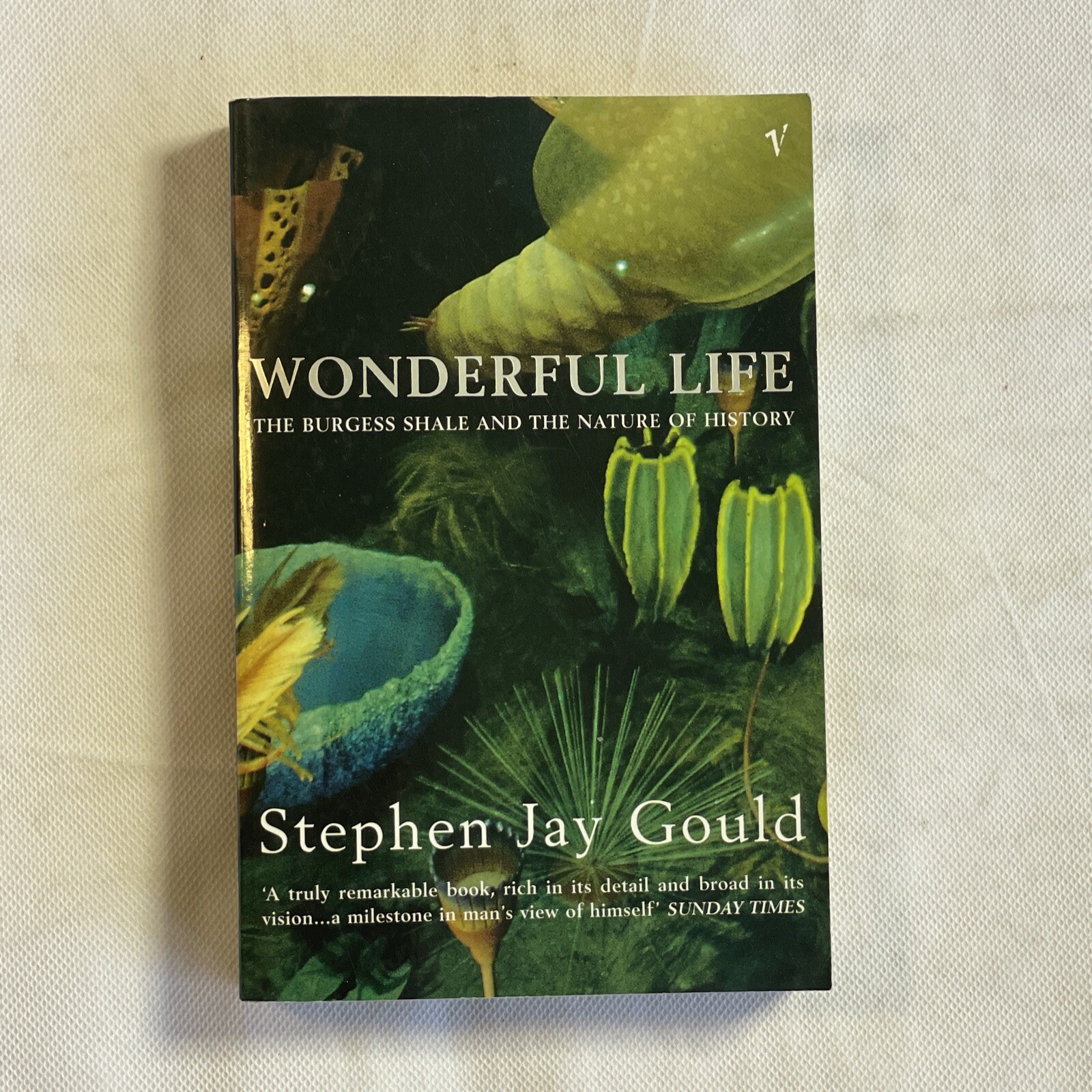 Wonderful Life by Stephen Jay Gould (Paperback, 2000)