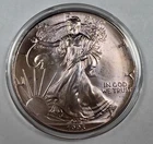 1993 American Silver Eagle 1 oz .999 Fine Silver $1 BU Toned in Capsule