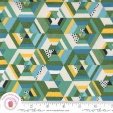 Moda FRANKIE KALEIDOSCOPE 30671 13 Blue Green BASIC GREY Quilt Fabric