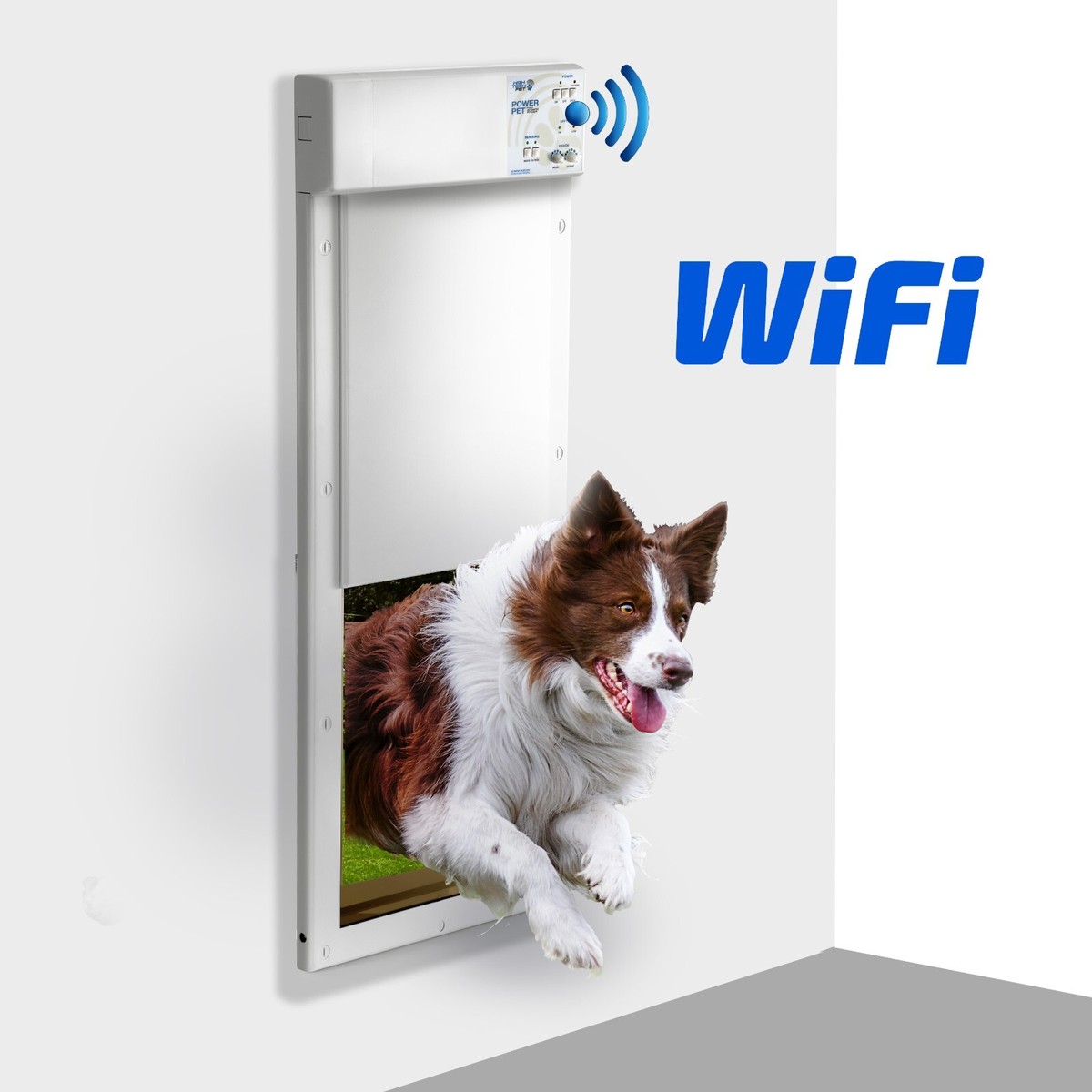 Large Dog Flap Automatic Doggy Door With Collar High Tech