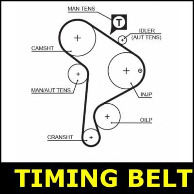 Timing Belt Cam Fits Vw TRANSPORTER VENTO T4 1.9 SX3225
