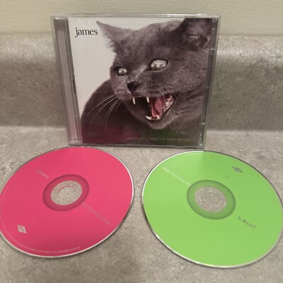 The Morning after the Night before by James (CD, 2010)