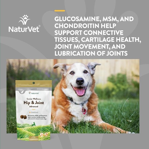 MSM, Chondroitin, & Glucosamine Joint Support Chews for Senior Dogs – 120 Count - Picture 7 of 11