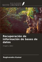 RecuperacióN De InformacióN De Bases De Datos Imagen Y Datos Raghvendra Kumar