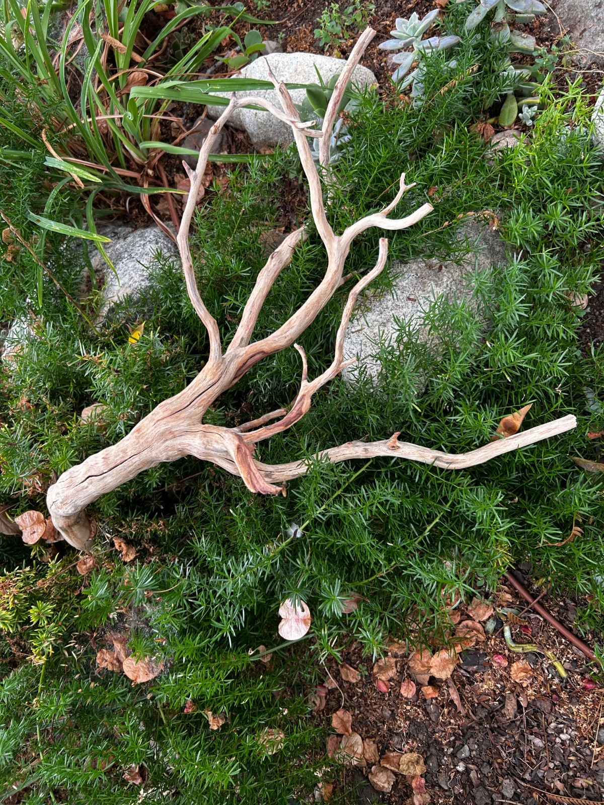 Bild 20 von 24