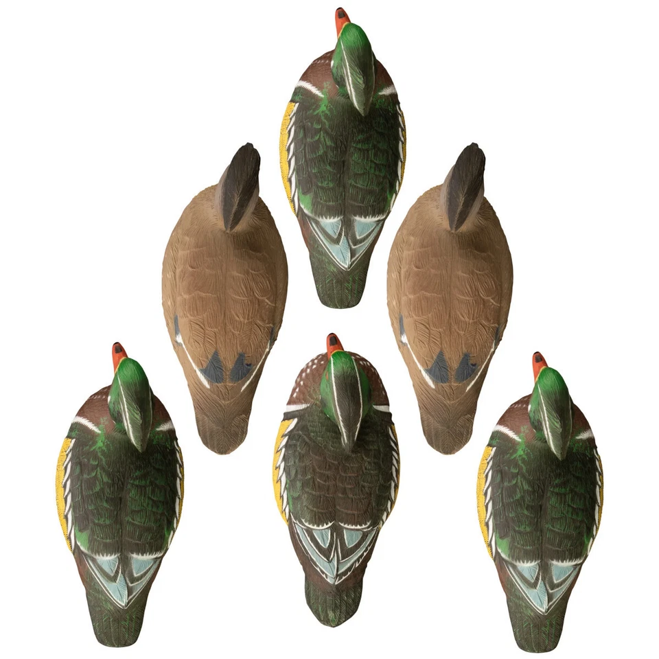 Higdon Standard Wood Duck 6-Pack - Image 2 of 3