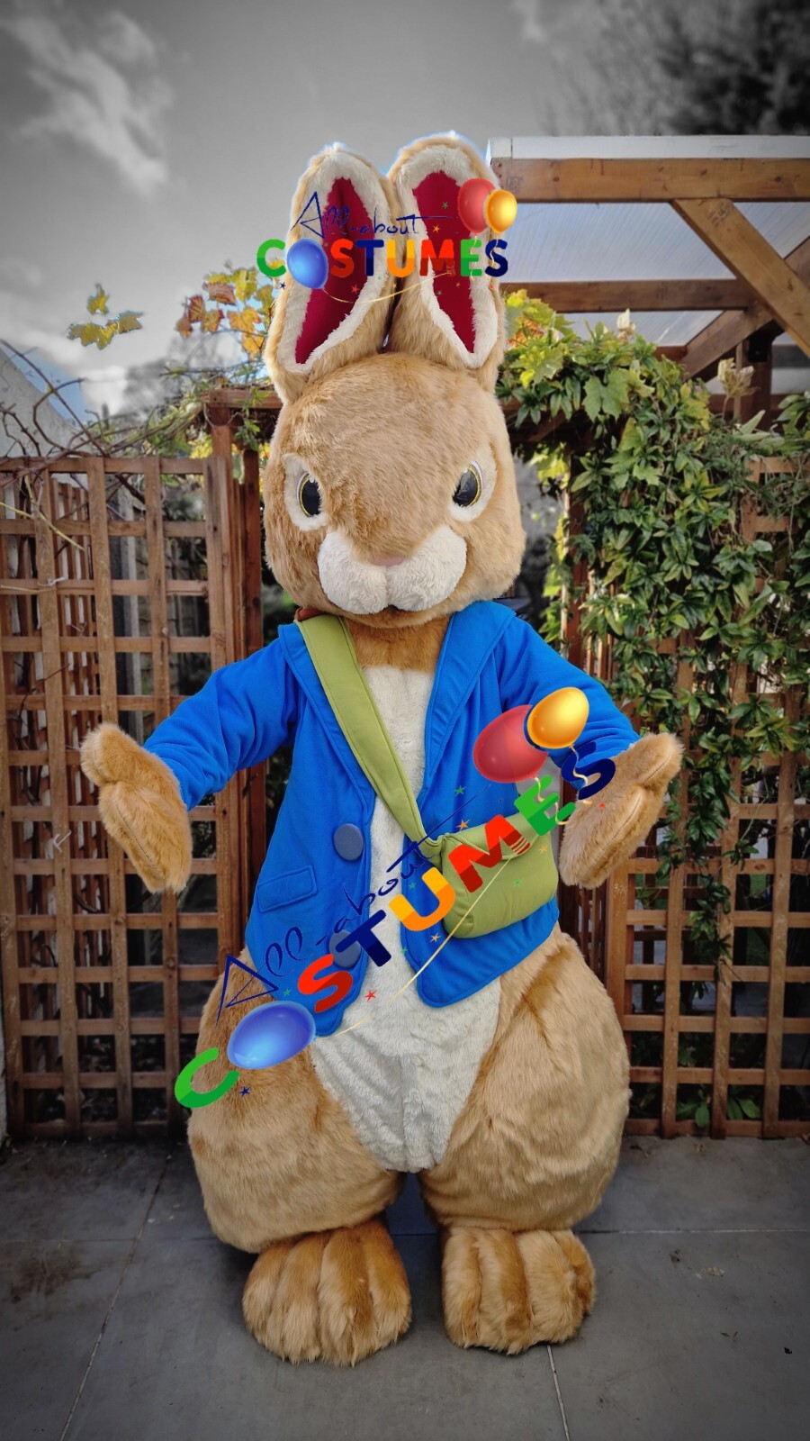Hire Bunny Peter Rabbit Lookalike Costume Mascot Fancy Dress Delivery