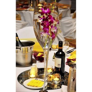 Giant Wine Glass Champagne Glass Giant Martini Glass For Event