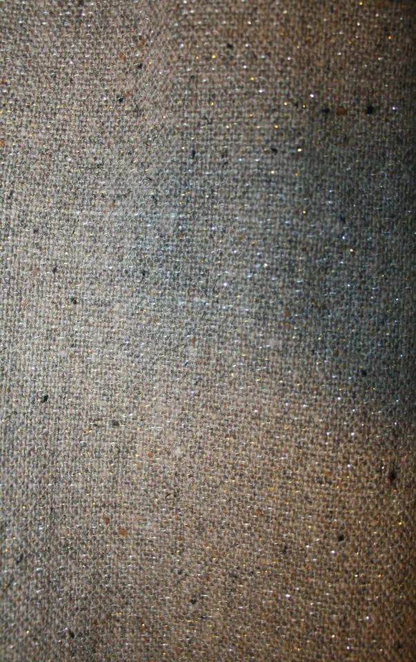 Chaqueta Blazer CARTONNIER Metálica Tweed Cinta 10 Frontrunner Anthropologie Foto 4 de 4