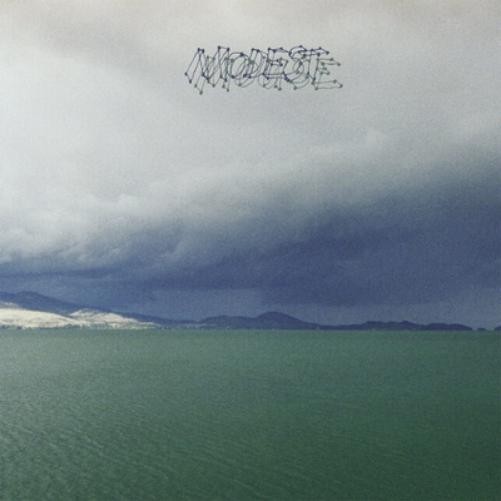 Альбом Modest Mouse The Fruit, который съел сам себя (CD) (ИМПОРТ из Великобритании)