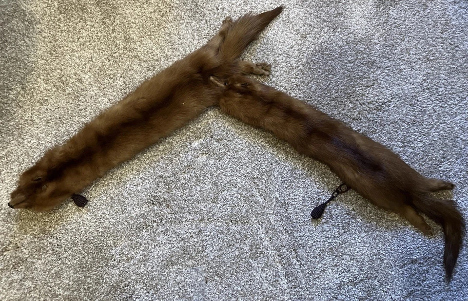 VINTAGE 1920s-30s Genuine MINK FUR COLLAR/ WRAP -2 PELTS- 37” - Image 2 of 4