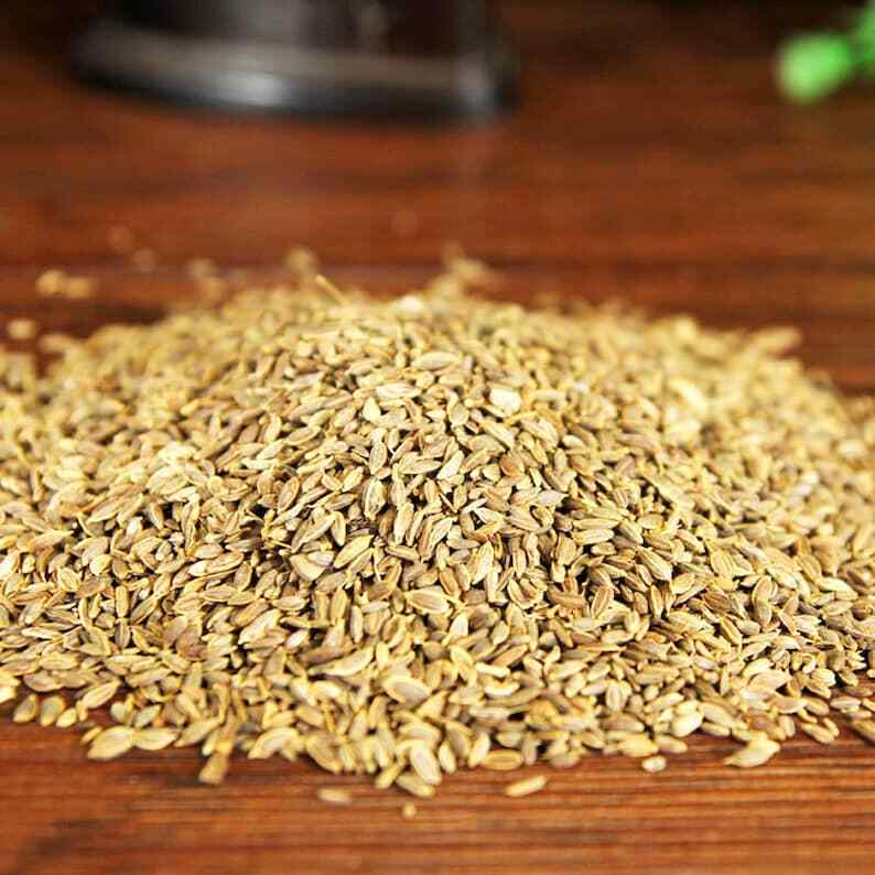 Organic Herbal Thymus Mongolicus Ronn Thymus Plant Seed Great Quality