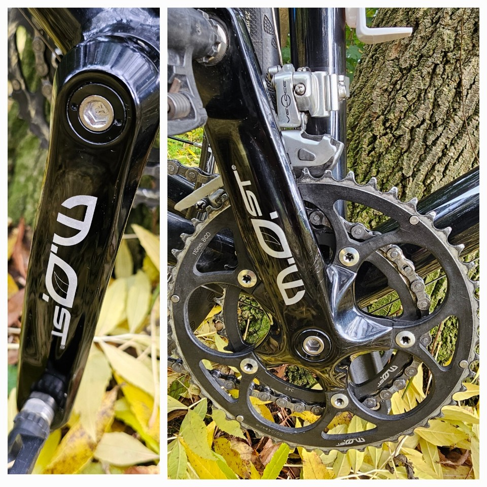 Vintage Retro Pinarello Angliru Campagnolo Aluminium Frame Carbon Fork