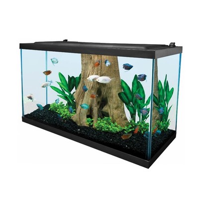 Tetra 29 Gallon Complete LED Glass Aquarium Kit w/ Filter Heater