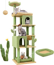 Globlazer Heavy Duty Cactus Cat Tree for Large Cats, Sturdy 72 inch,