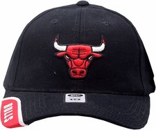 Chicago Bulls Flex Fit Hat Logo SPL28 3185