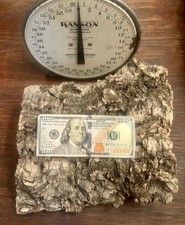 Natural Cork Oak Bark 8  x 10  x 1-1/2  -2  thick 2lbs Terrarium USA