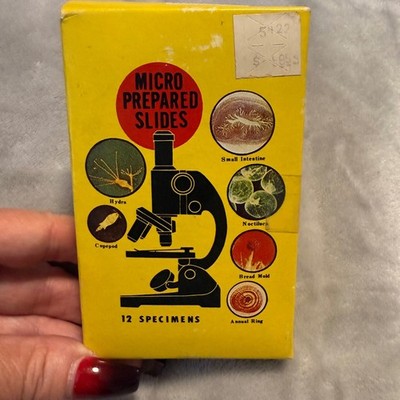 Vintage Prepared Microscope Slides Set 12 Marine Algae BiologyX Specimens Japan