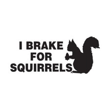I Brake For Squirrels - Vinyl Decal Sticker - Multiple Colors  Sizes - ebn2564
