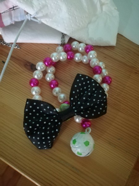 Collar Mascotas