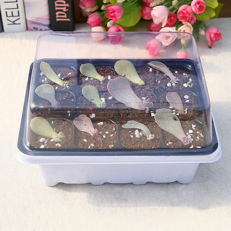 12 Holes Flower Starter Pad Germination Nursery Pot Propagation Garden Home Tray - Image 3 of 4