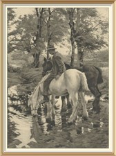 115+yr Old Original Antique Art Print Stanhope Forbes DRINKING PLACE Horse