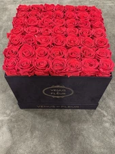 Venus Et Fleur Red Roses Large Square Black Suede Box $479 retail