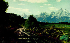 Grand Teton National Park Jackson Hole WY Vintage Postcard M1
