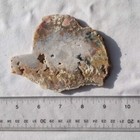 WENDOVER PLUME AGATE SLAB ~ 90 grams / rough agate jasper mineral rock Utah cab — photo 9