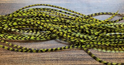 Full or Half Set Sized  OLIVE GRIZZLY Dry Fly Rooster Saddle Feathers Fly Tying