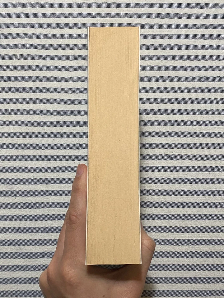 Quentin Bell - VIRGINIA WOOLF, MIA ZIA - Prima edizione La Tartaruga 2011 - Immagine 4 di 4