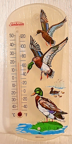 Vtg Sunbeam Weather Thermometer Reversible Indoor-outdoor Malard Ducks Suction