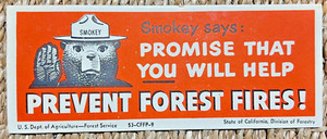 Vintage 1953 Smokey Bear PREVENT FOREST FIRES! Blotter