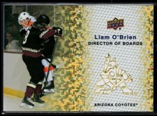2023-24 Upper Deck Director of Boards Gold Sparkle #DB-7 Liam O'Brien