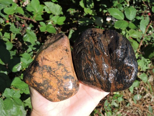 Set of Rare & UNUSUAL Oregon AGATE & Rhyolite Stone ROCK Nodules 2lbs+ total - Picture 3 of 24
