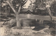 Postcard RPPC Florida FL Ocala National Forest Juniper Springs Main Boil c. 1940